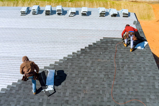 Roof Gutter Cleaning in Chester, PA